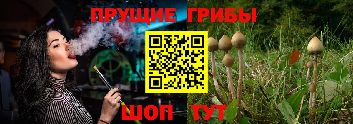Псилоцибиновые грибы ЛСД  Вход с VPN  Горно-Алтайск 