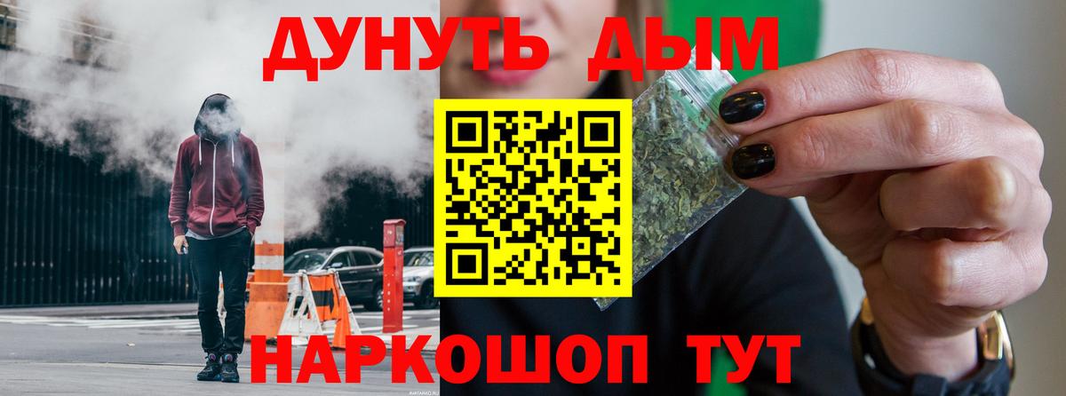Каннабис сатива Горно-Алтайск
